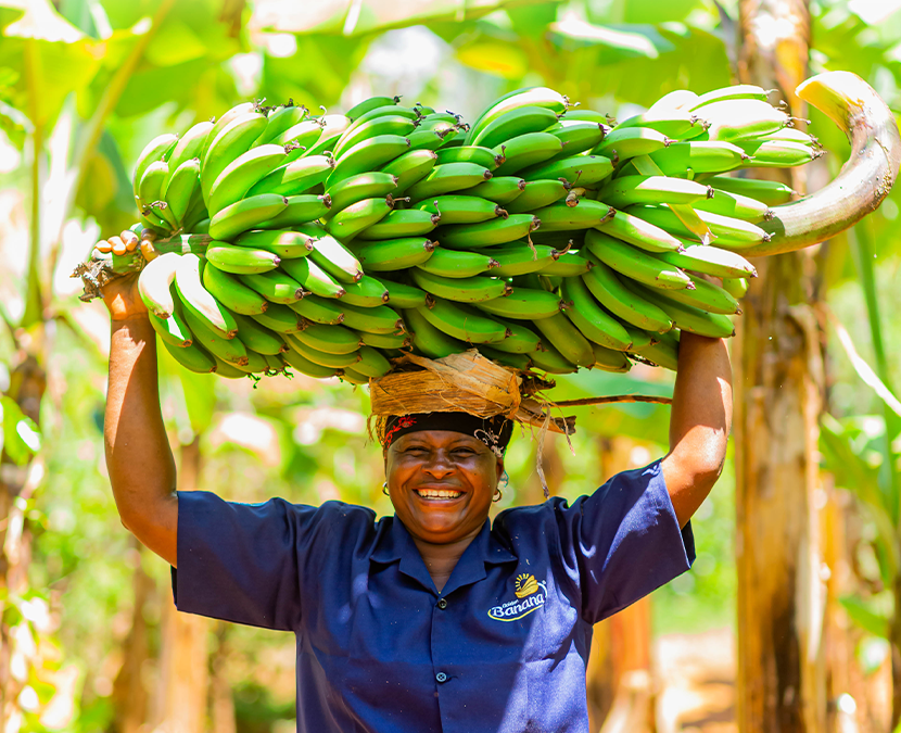 East Africa Fruits